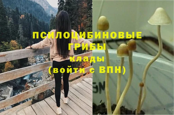 синтетический гашиш Богданович