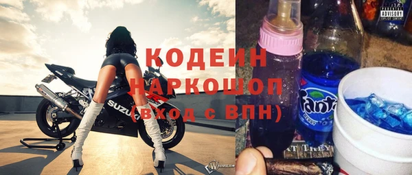 молекула духа Бородино