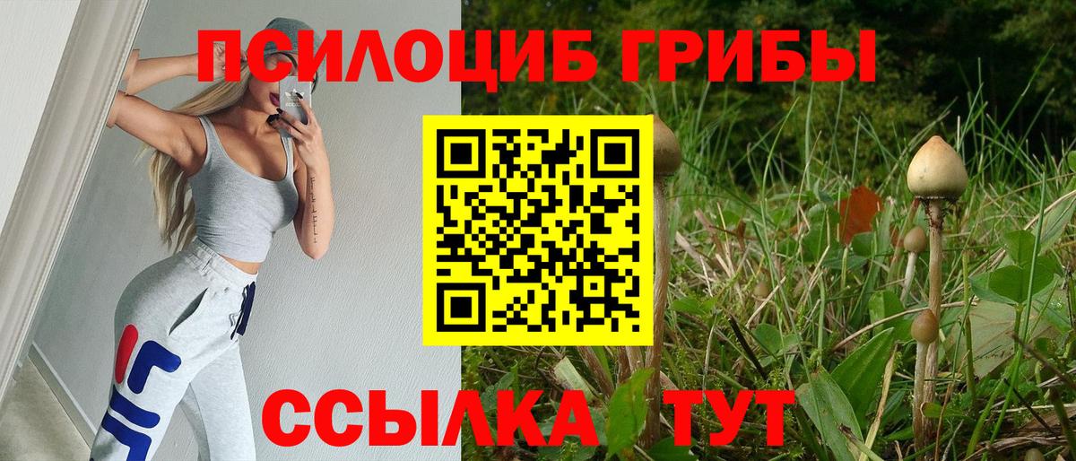 Псилоцибиновые грибы Psilocybe Обь