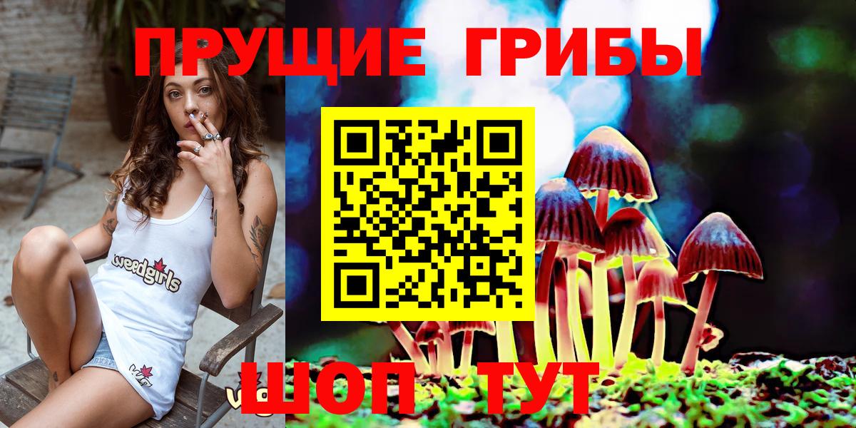 Обь  Псилоцибиновые грибы мицелий  Вход с VPN 